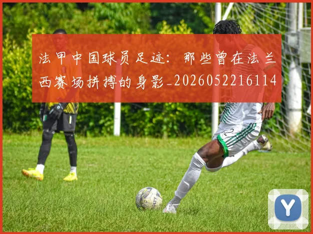 法甲中国球员足迹:那些曾在法兰西赛场拼搏的身影_20260522161146